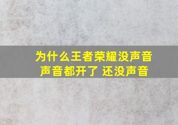 为什么王者荣耀没声音 声音都开了 还没声音